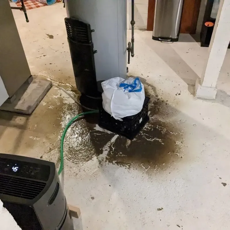 Sewage Backup Cleanup Service in Macomb County, MI
